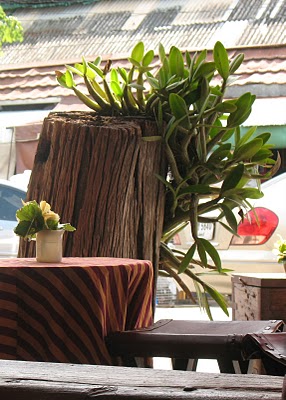 Viva Bar en Chatuchak